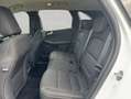 Ford Kuga 2.5 Duratec PHEV TITANIUM - thumbnail 13