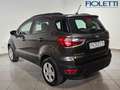 Ford EcoSport 1.0 ECOBOOST 100 CV PLUS Grigio - thumbnail 2