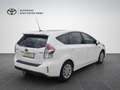 Toyota Prius+ Active 7-Sitzer Weiß - thumbnail 5