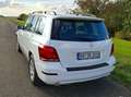Mercedes-Benz GLK 350 GLK 350 CDI 4Matic (BlueEFFICIENCY) 7G-TRONIC Weiß - thumbnail 5