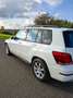 Mercedes-Benz GLK 350 GLK 350 CDI 4Matic (BlueEFFICIENCY) 7G-TRONIC Weiß - thumbnail 4