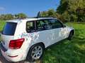 Mercedes-Benz GLK 350 GLK 350 CDI 4Matic (BlueEFFICIENCY) 7G-TRONIC Weiß - thumbnail 7