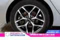 Kia Ceed SW / cee'd SW 1.6 CRDI GT-Line 136cv 5P S/S IVA DEDUCIBLE, NAVY, - thumbnail 19