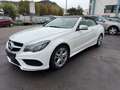 Mercedes-Benz E 250 Cabrio AMG Sportpaket Airscarf LED Blanc - thumbnail 13