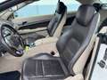 Mercedes-Benz E 250 Cabrio AMG Sportpaket Airscarf LED Blanc - thumbnail 17