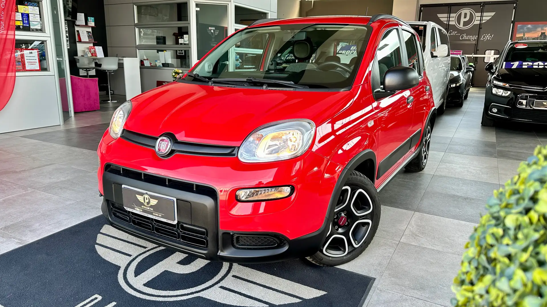 Fiat Panda 1.0 firefly hybrid 70CV S&S City Life+Neopatente Rouge - 1