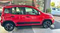 Fiat Panda 1.0 firefly hybrid 70CV S&S City Life+Neopatente Rouge - thumbnail 5