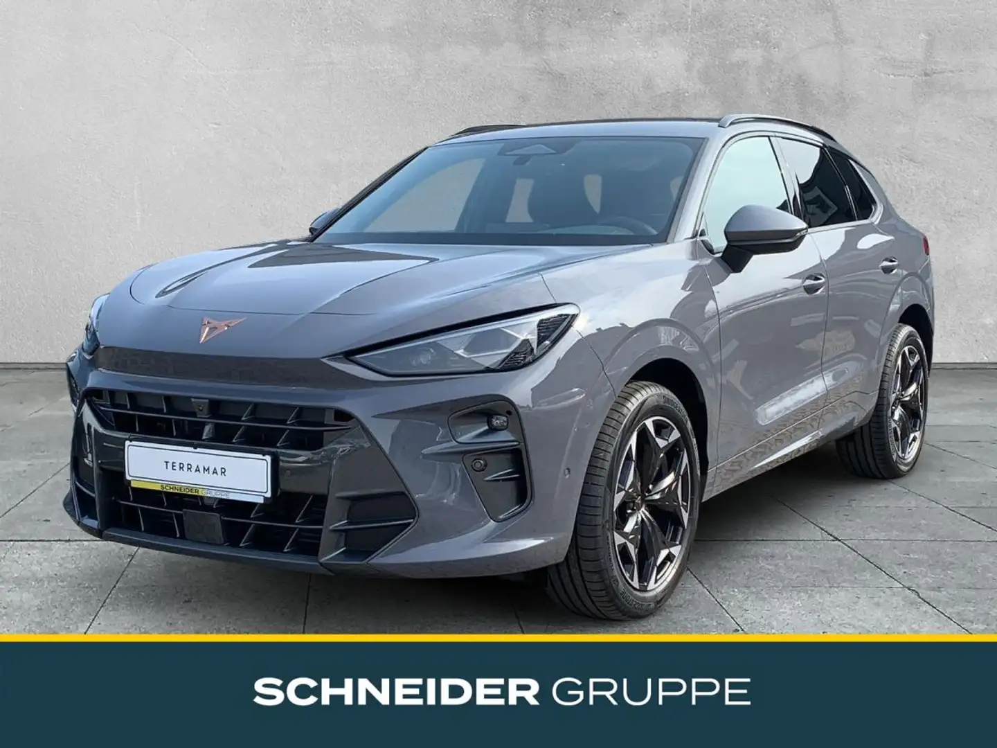 CUPRA Terramar 1.5 eTSI 110 kW (150 PS) 7-Gang-DSG;Sommerdeal!!!; Grau - 1