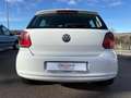 Volkswagen Polo 1.2 TDI DPF 5 p. Comfortline Bianco - thumbnail 3