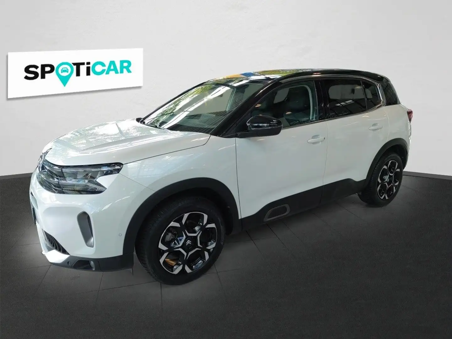 Citroen C5 Aircross MAX EAT8 Tot-Winkel, 360°, ALCANTARA Blanc - 1