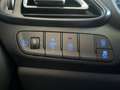 Hyundai i30 1.5 T-GDI N Line S-Dach|CarPlay|Pano|Sitzhz Blau - thumbnail 15