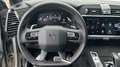 DS Automobiles DS 7 BlueHDI 130 Aut. Performance Line Grau - thumbnail 12