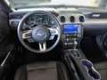 Ford Mustang GT Convertible 5.0 V8 *Navi*MagneRide* Noir - thumbnail 13