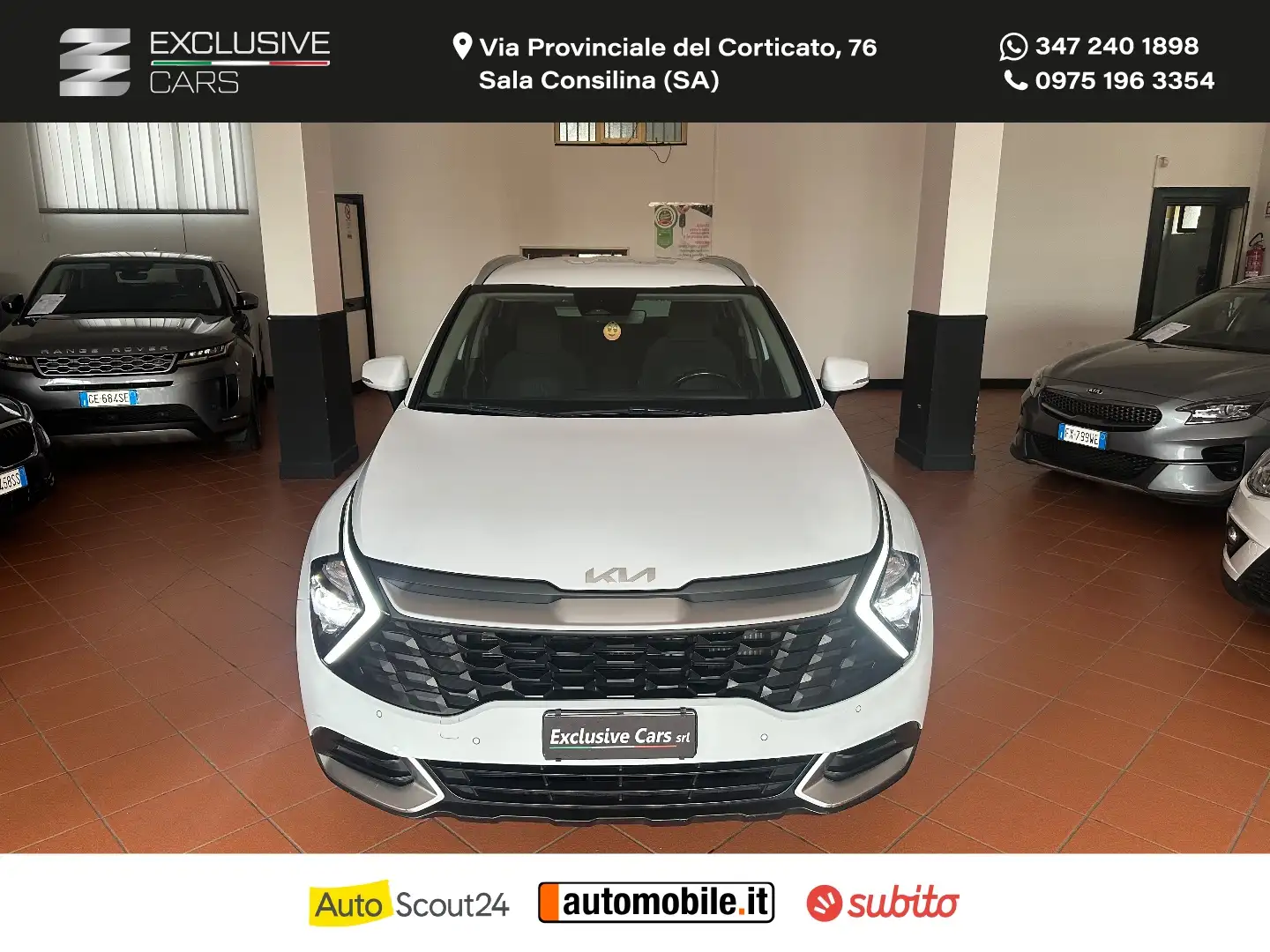 Kia Sportage 1.6 CRDi MHEV Style Bianco - 2