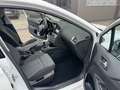 Citroen C4 Lim. Selection Weiß - thumbnail 14