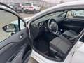 Citroen C4 Lim. Selection Weiß - thumbnail 9