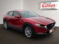 Mazda CX-30 G122 AT COM Rot - thumbnail 15