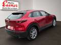Mazda CX-30 G122 AT COM Rot - thumbnail 13