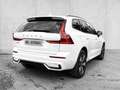 Volvo XC60 Plus Dark Recharge Plug-In Hybrid AWD T6 Twin Engi Weiß - thumbnail 2