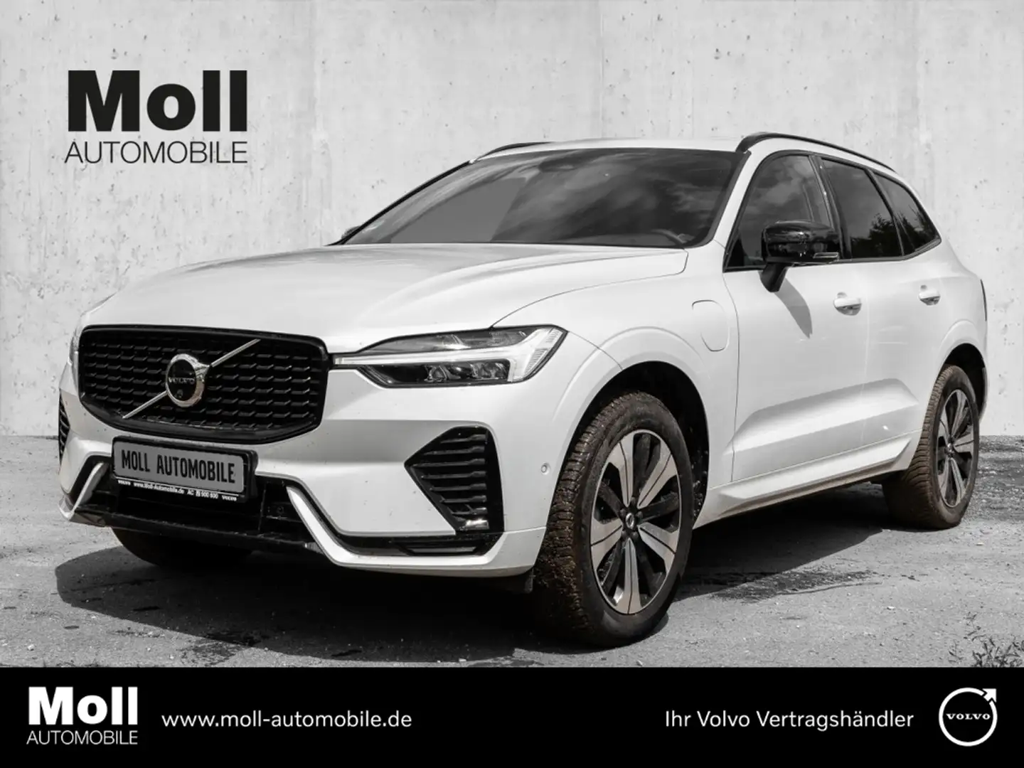 Volvo XC60 Plus Dark Recharge Plug-In Hybrid AWD T6 Twin Engi Weiß - 1