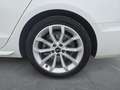 Audi A4 S line 40 TDI S tronic, MATRIX/AHK/VIRT Weiß - thumbnail 15