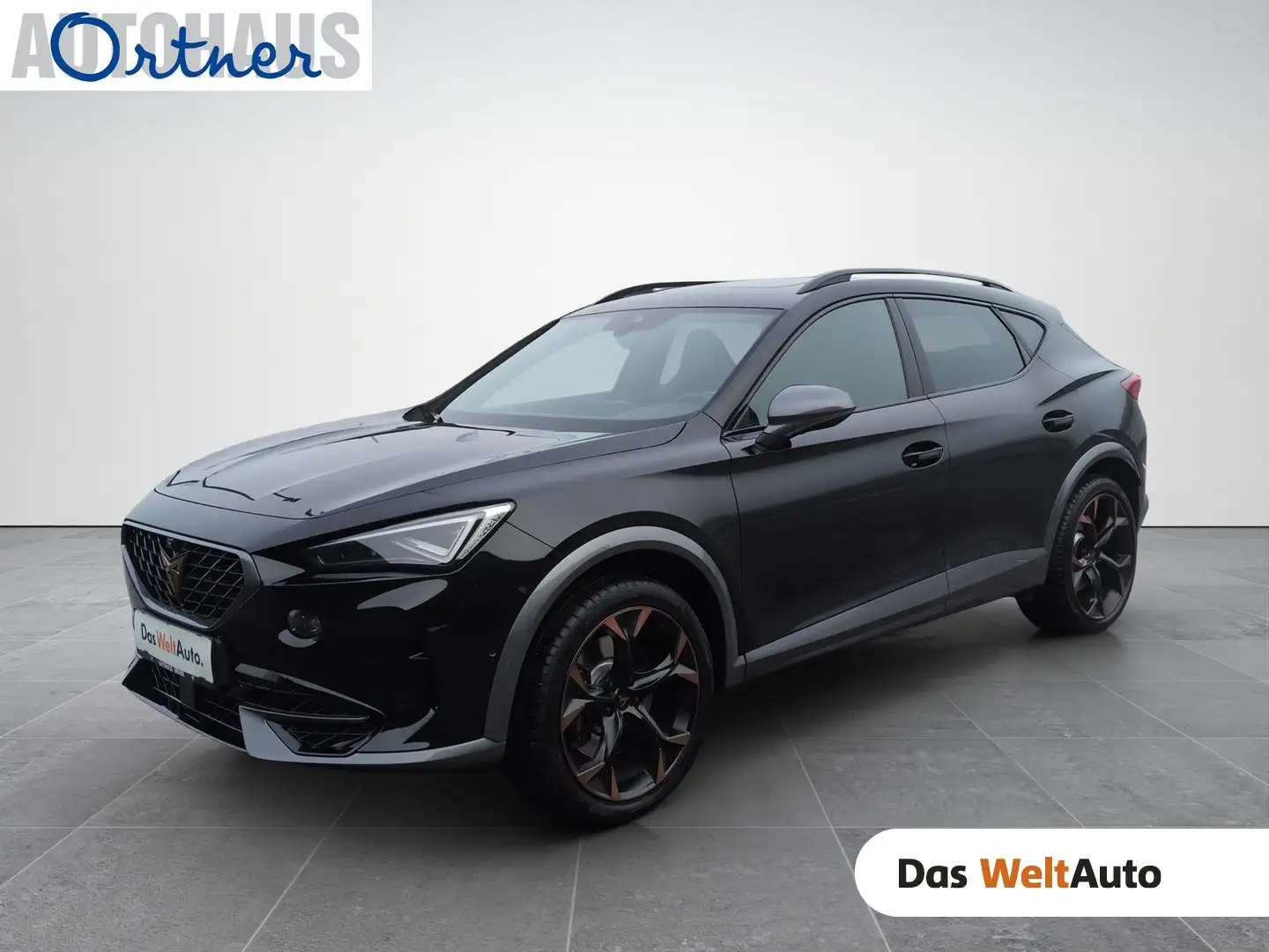 CUPRA Formentor TRIBE VZ 2.0 TSI 245 PS DSG Schwarz - 1