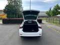 Skoda Octavia Combi Ambition 2.0 TDI DSG, NAVI, KESSY Blanc - thumbnail 13