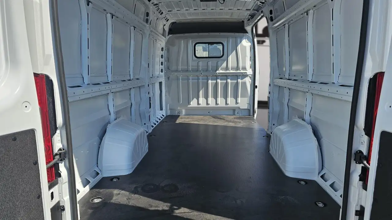 RAM Promaster снимка RAM Promaster