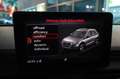 Audi Q5 40 TDI Quattro S-Tronic S-Line plus - TETTO/NAPPA Azul - thumbnail 33
