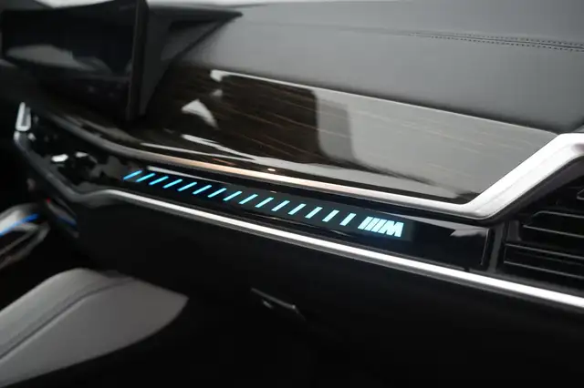 BMW X6 view 9