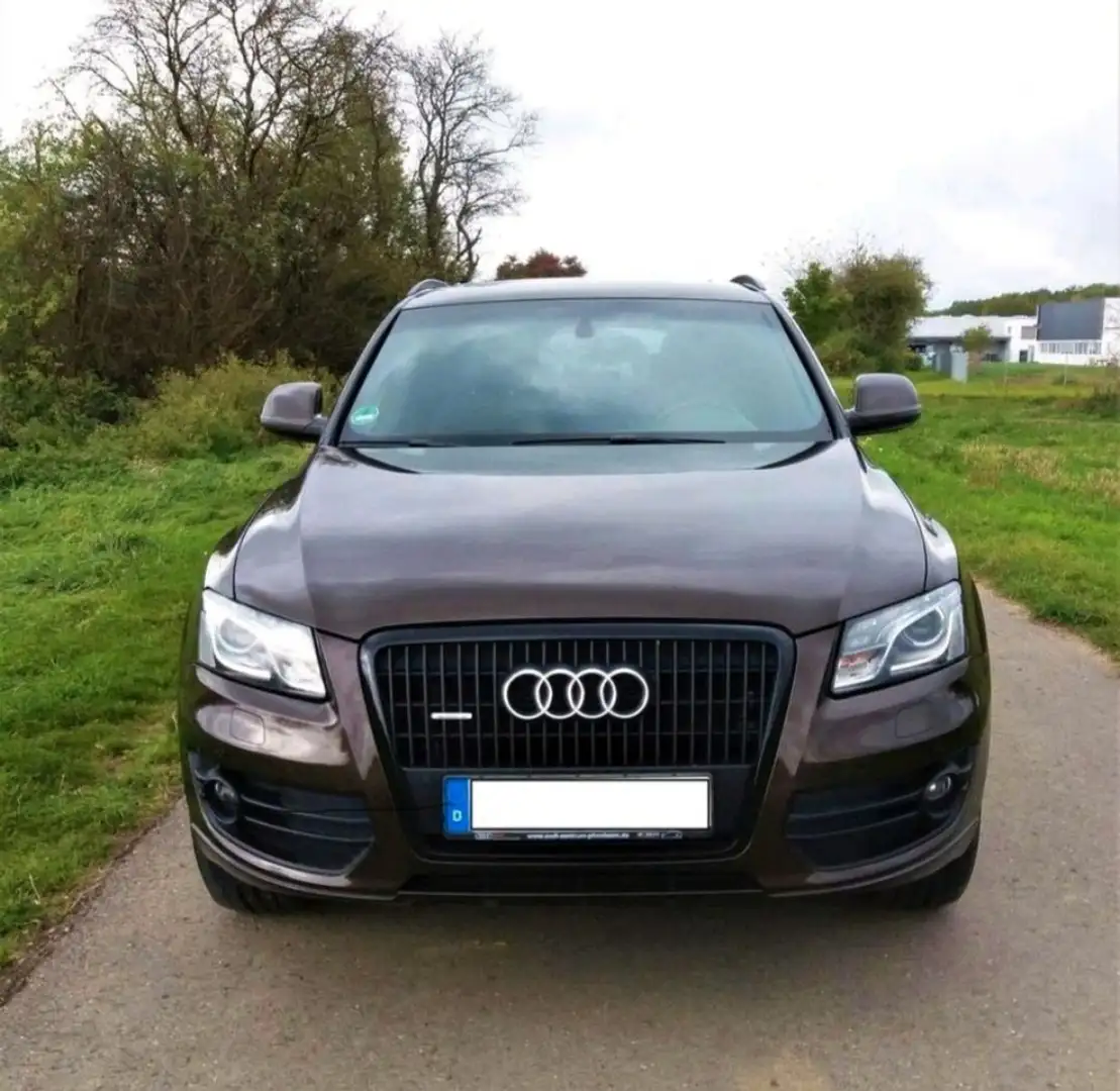 Audi Q5 3.0 TDI quattro S tronic Braun - 1