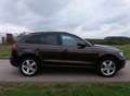 Audi Q5 3.0 TDI quattro S tronic Braun - thumbnail 4