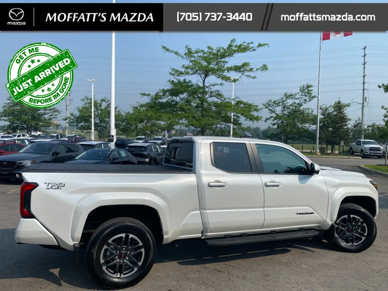 Toyota Tacoma photo Toyota Tacoma