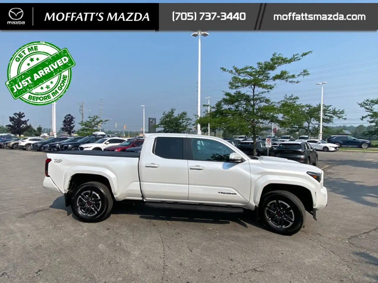 Toyota Tacoma photo Toyota Tacoma