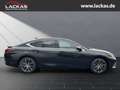 Lexus ES 300 h+BUSINES SOFORT+SCHIEBEDACH+SHZ Schwarz - thumbnail 6
