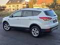 Ford Kuga 1.5 Sync Edition Wit - thumbnail 3