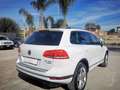 Volkswagen Touareg Touareg II 3.0 V6 tdi Executive 204cv tiptronic Blanc - thumbnail 7
