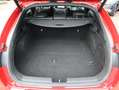 Kia ProCeed / pro_cee'd 1.5 T-GDi GT-PlusLine | AUTOMAAT | Schuif/Kantelda Rouge - thumbnail 7