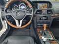 Mercedes-Benz E 500 Cabrio BlueEF.Eleg. AMG,Distro.,Kamera,Comand,ILS Blanc - thumbnail 12