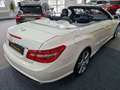 Mercedes-Benz E 500 Cabrio BlueEF.Eleg. AMG,Distro.,Kamera,Comand,ILS Blanc - thumbnail 18