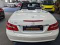 Mercedes-Benz E 500 Cabrio BlueEF.Eleg. AMG,Distro.,Kamera,Comand,ILS Blanc - thumbnail 16