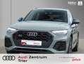Audi SQ5 3.0 TDI quattro Tiptronic AHK Grey - thumbnail 1