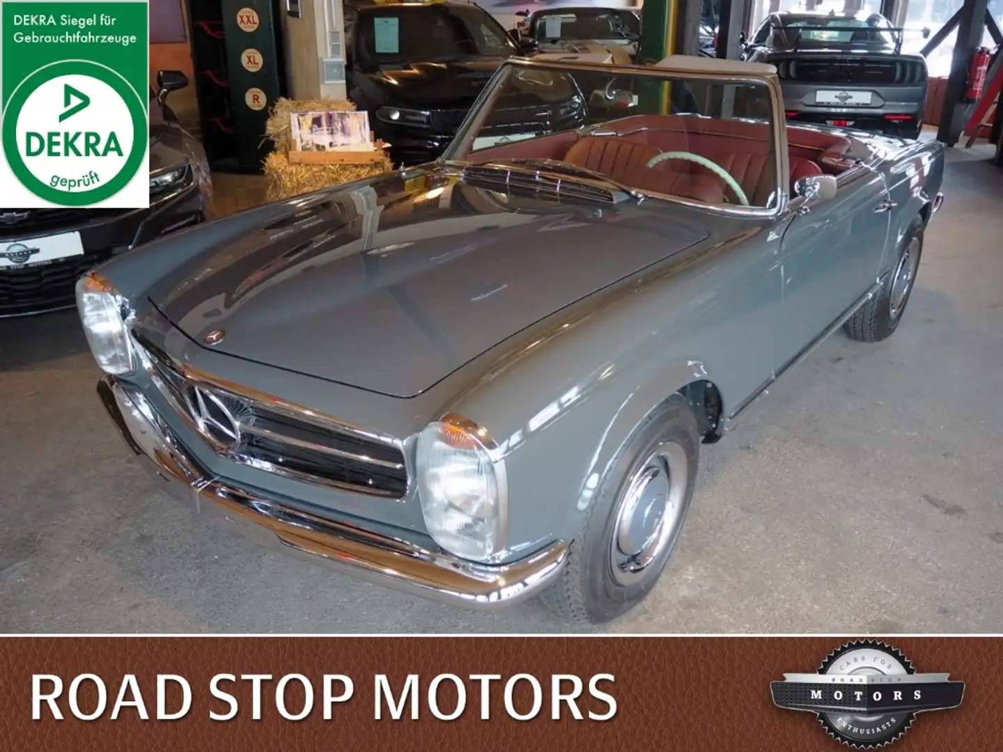 Mercedes-Benz 230 SL Pagode / Restaurierung / BRD Gri - 1