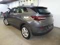 Opel Grandland X Business Edition,Kamera, Winterpaket Grau - thumbnail 3