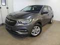 Opel Grandland X Business Edition,Kamera, Winterpaket Grau - thumbnail 1