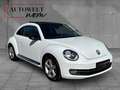 Volkswagen Beetle 2.0 TSI /PANO/PDC/NAVI/TEMPOMAT Weiß - thumbnail 6