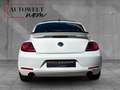 Volkswagen Beetle 2.0 TSI /PANO/PDC/NAVI/TEMPOMAT Weiß - thumbnail 5