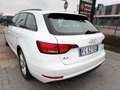 Audi A4 A4 Avant 2.0 TDI 190 CV quattro S tronic Business Bianco - thumbnail 4