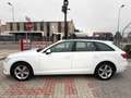 Audi A4 A4 Avant 2.0 TDI 190 CV quattro S tronic Business Bianco - thumbnail 3