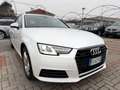 Audi A4 A4 Avant 2.0 TDI 190 CV quattro S tronic Business Bianco - thumbnail 7